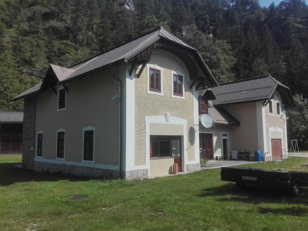 Penzion Black Sheeps Adventures Wildalpen Exterior photo